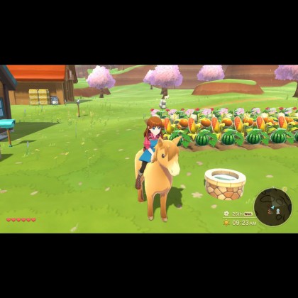 Nintendo Switch Harvest Moon The Winds of Anthos [US/中文/Eng]